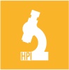 Insight HPI