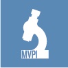 Insight MVPI
